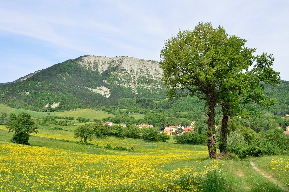 Monte Carpegna - slideshow1