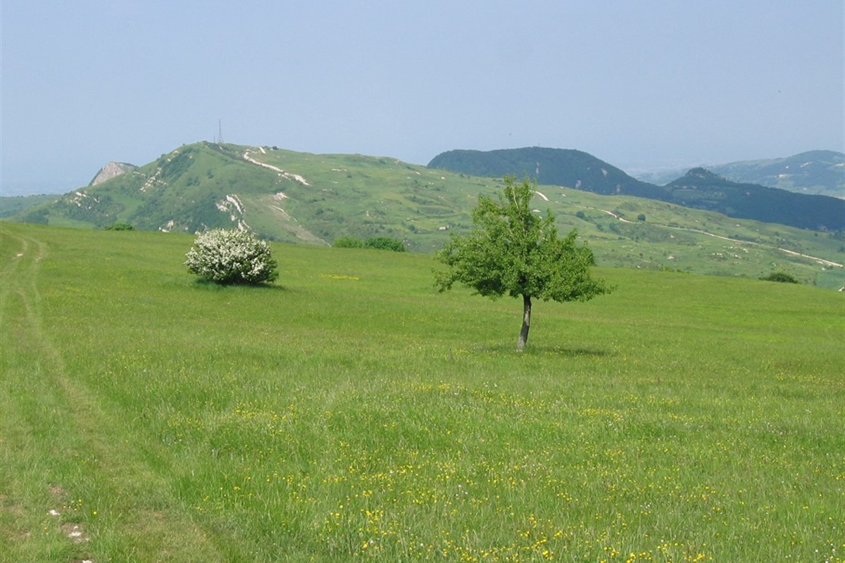 Monte Carpegna - slideshow2