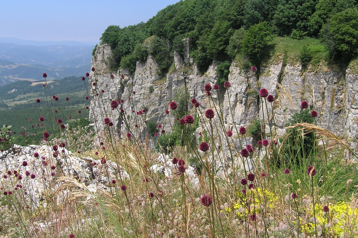 sasso simone montefeltro