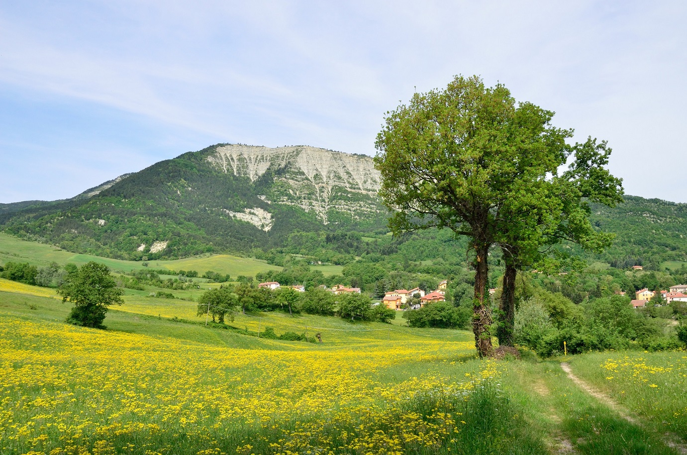 Paesaggio del Monte Carpegna, nel Montefeltro